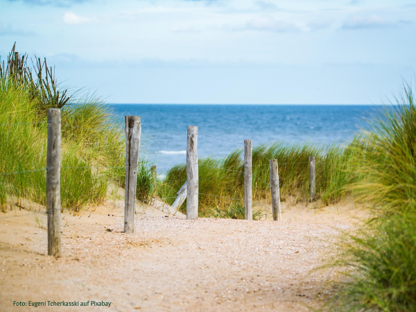 Die niederländische Küste mit Meer und Dünen, als Kontext für den Vortrag von Dr. Laura Burgers über Rechte-der-Natur-Initiativen in den Niederlanden am 12. Februar. Foto: Evgeni Tcherkasski auf Pixabay