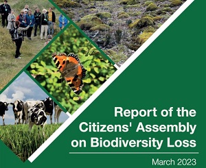 Bericht des Irischen Bürgerrates Biodiversität 